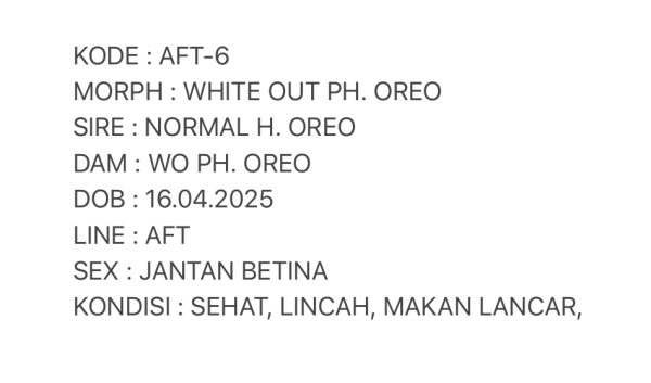 AFT-7 | WHITE OUT PH. OREO - BETINA - Image 3