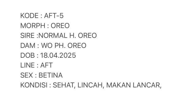 AFT-5 | OREO - BETINA - Image 3