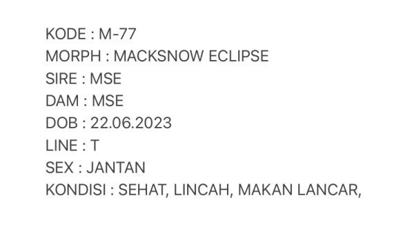 M-77 | MACKSNOW ECLIPSE - JANTAN - Image 3