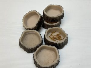 Water Dish Segi Lima - WD3