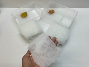 Busa Filter Pacman - 1 pcs