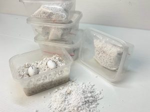 Box Incub Telur Gecko - 250 ml