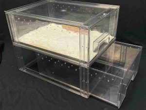 BOX AKRILIK - Setting Leopard Gecko