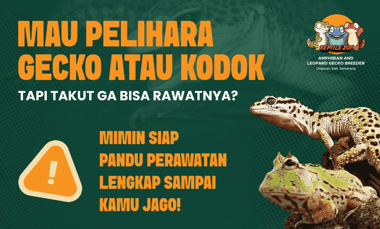 Banner-website-01_1_11zon