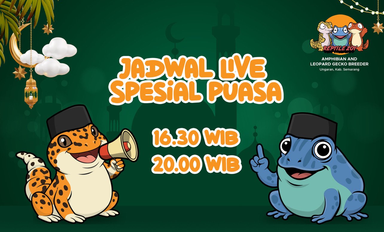 CEFF5E7F-4906-4BDA-981A-0F06D235D070